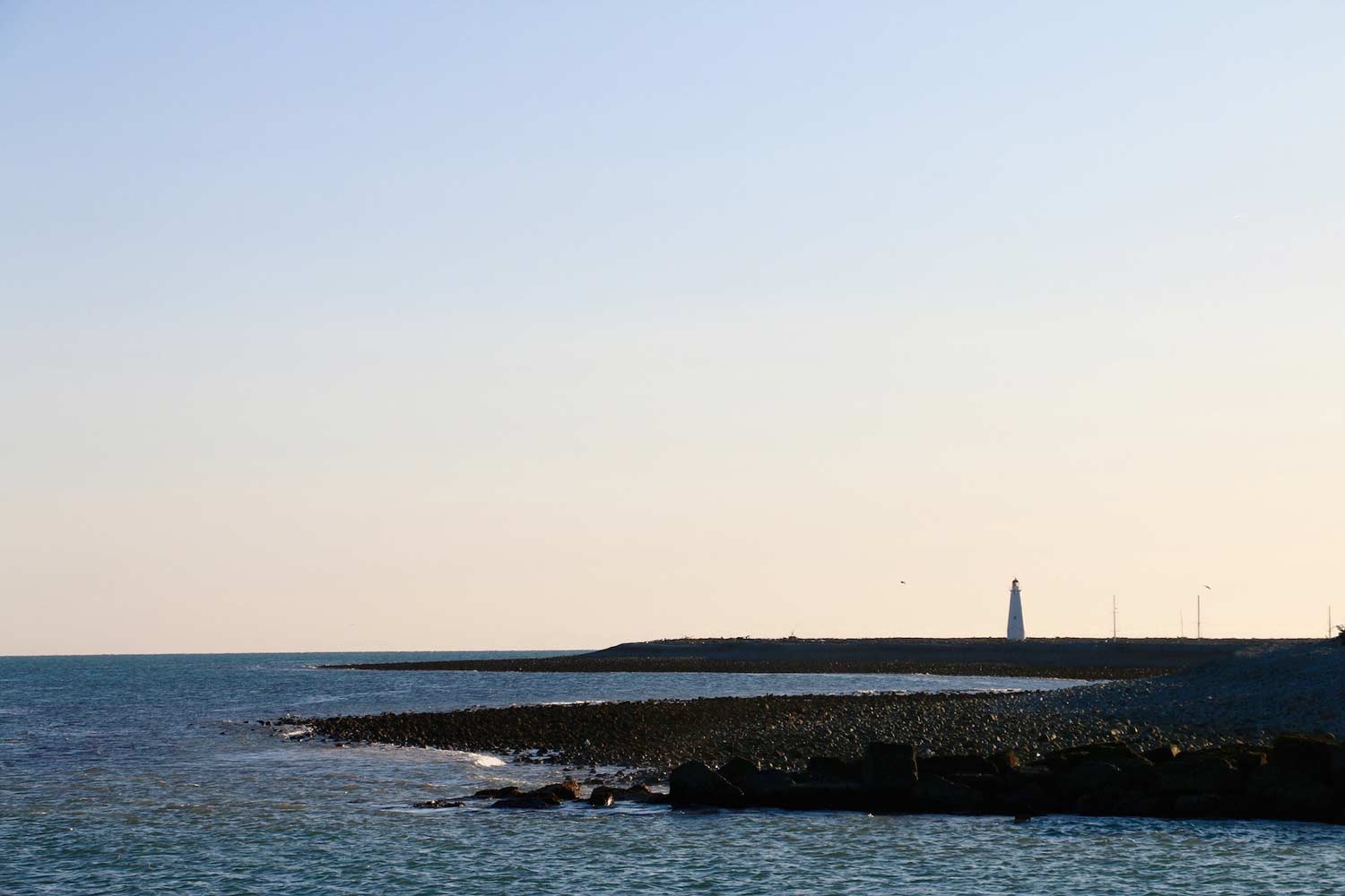 Harbour Cruises